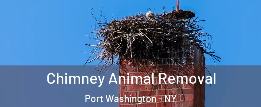  Chimney Animal Removal Port Washington - NY