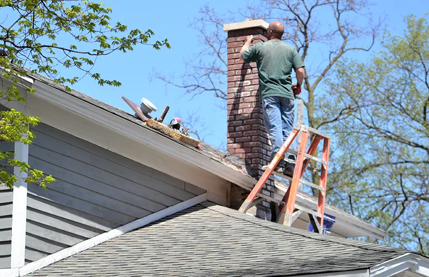 Chimney & Fireplace Inspections Services in Port Washington, NY
