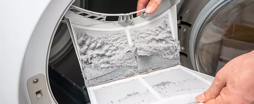 Best Dryer Lint Removal Company in Port Washington, New York